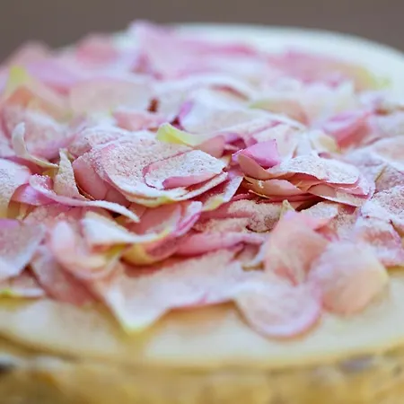 Europa Design 1877 Rapallo