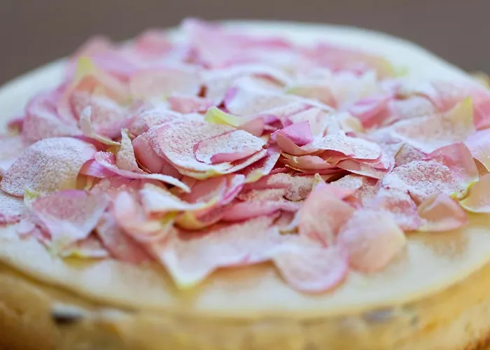 Europa Design 1877 Rapallo